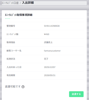 Pay at Store Sales Details